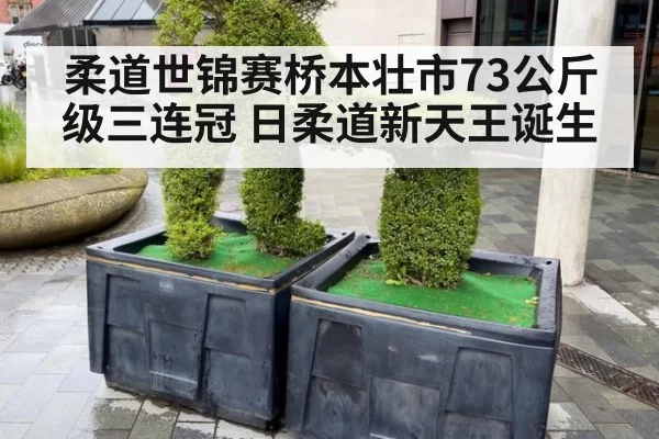 柔道世锦赛桥本壮市73公斤级三连冠 日柔道新天王诞生