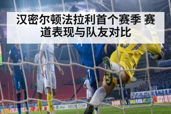 汉密尔顿法拉利首个赛季 赛道表现与队友对比